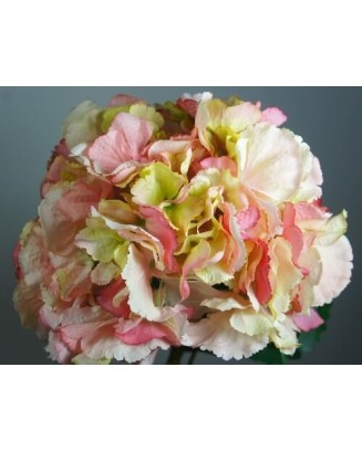 Hortensia wild 22cm diámetro, varios colores
