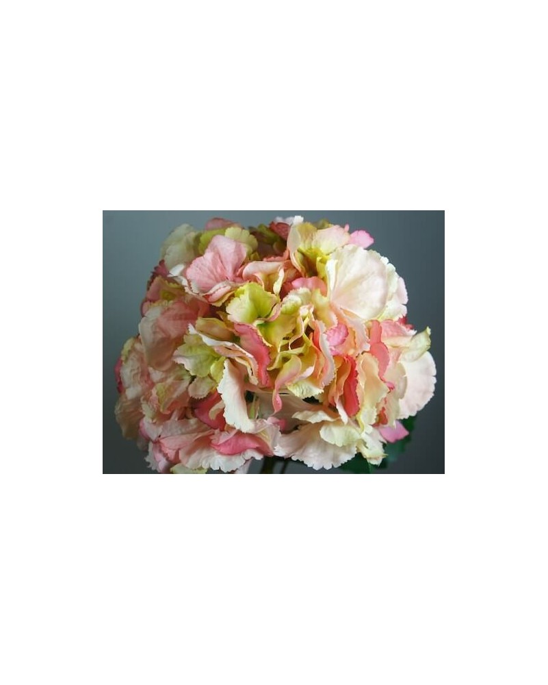 Hortensia wild 22cm diámetro, varios colores