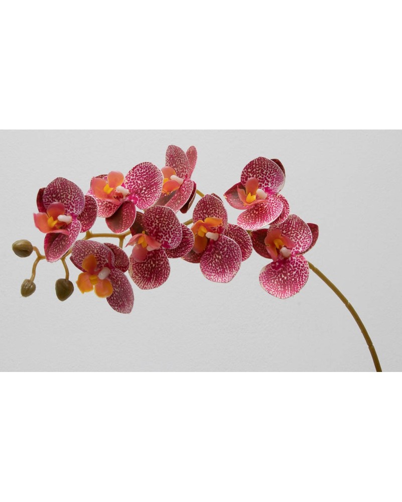 Orquídea phalaenopsis de 8 flores, 80cm largo
