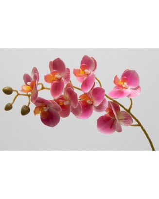 Orquídea phalaenopsis de 8 flores, 80cm largo