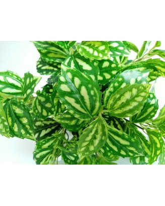 Planta aluminio grande 40cm