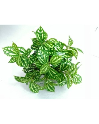 Planta aluminio grande 40cm