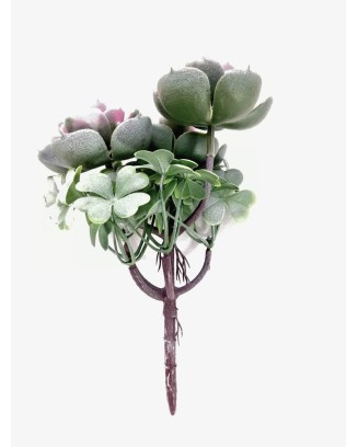 Planta de suculenta 22cm de altura