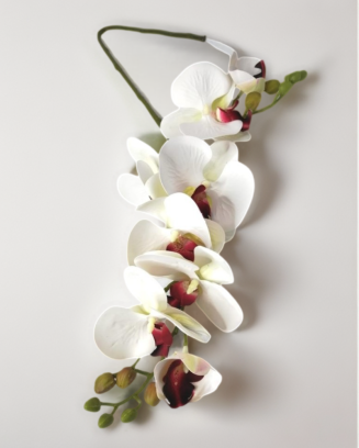 Vara de phalaenopsis tild...
