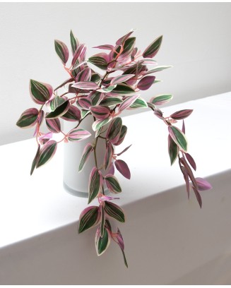 Colgante zebrina morada 40cm