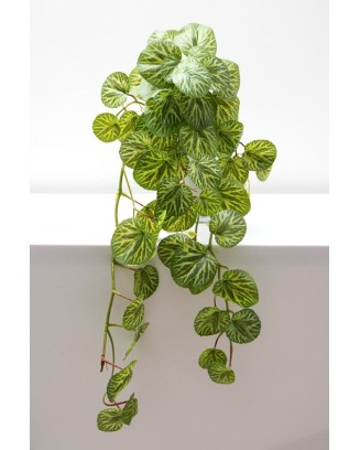 Colgante saxifraga 85cm soft touch