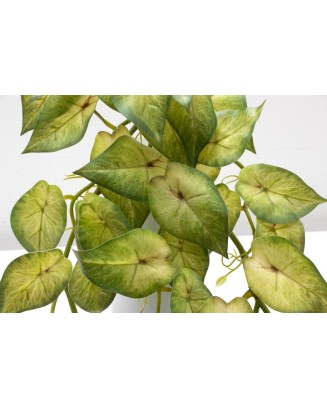 Colgante calladium angel 85cm soft touch