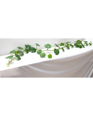 Guía de hoja de loto deluxe 170cm de largo, soft touch