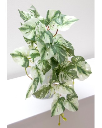 Colgante monstera albina 50cm soft touch