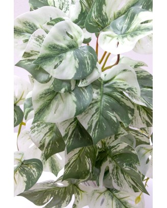 Colgante monstera albina 50cm soft touch