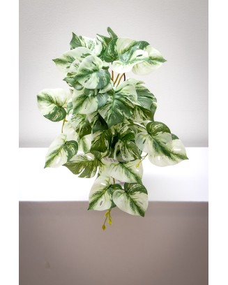Colgante monstera albina 50cm soft touch