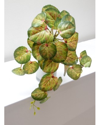 Colgante calladium bicolor 50cm soft touch