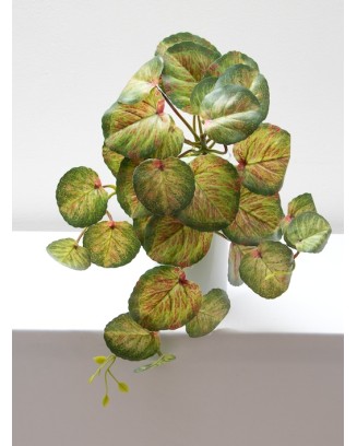 Colgante calladium bicolor 50cm soft touch