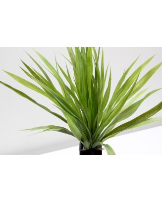 Follaje ember verde 50cm, dos colores