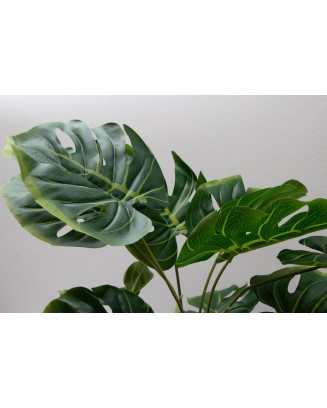 Planta esqueleto 52cm