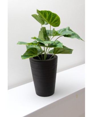 Philodrendrom glorioso verde 52cm
