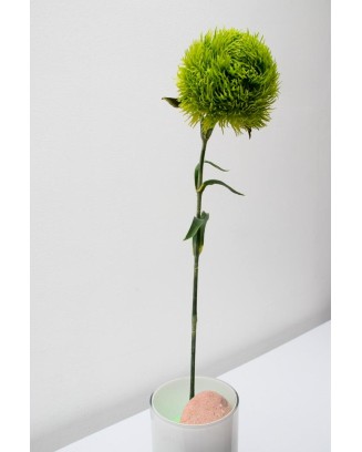 Vara de kiwi mellow 56cm, dos colores.
