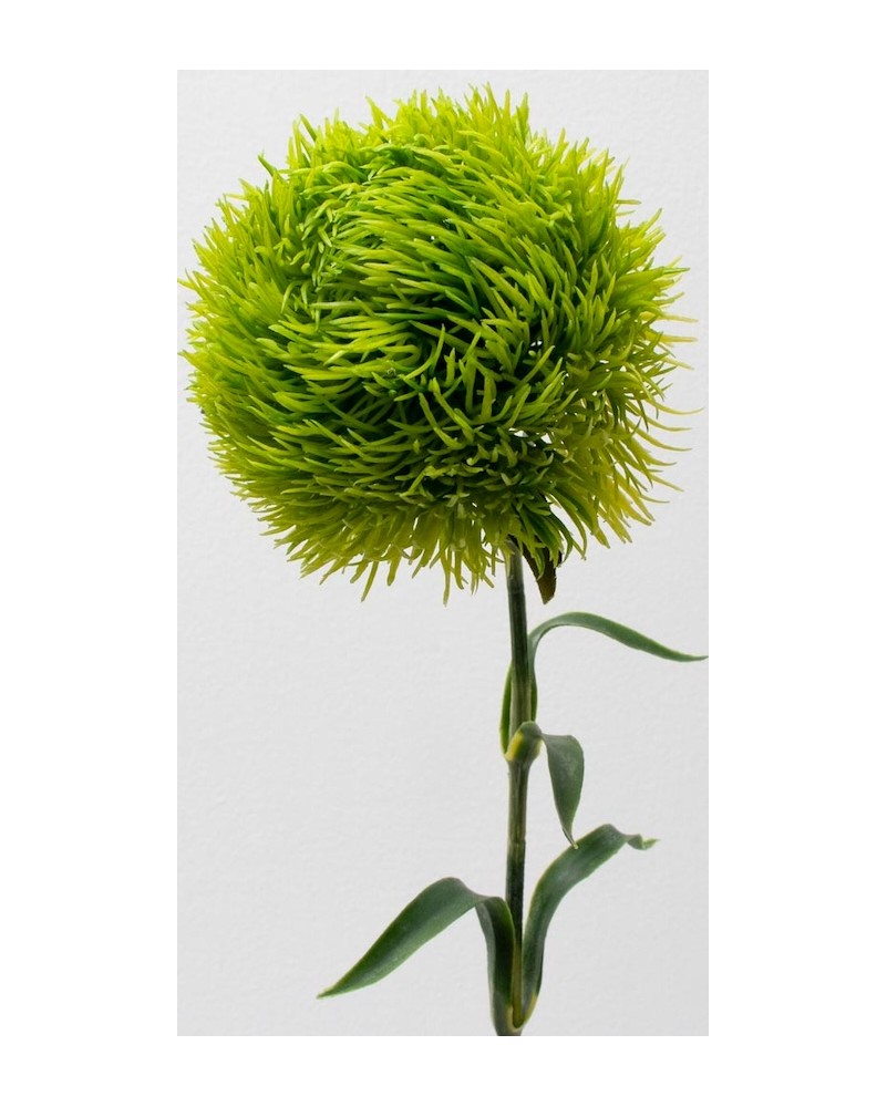 Vara de kiwi mellow 56cm, dos colores.