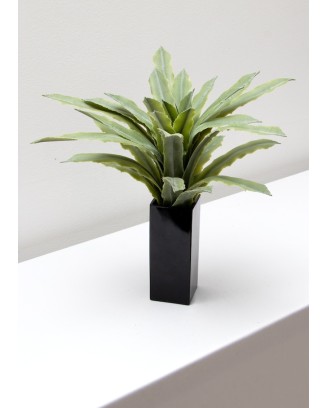 Maguey sisal verde 40cm