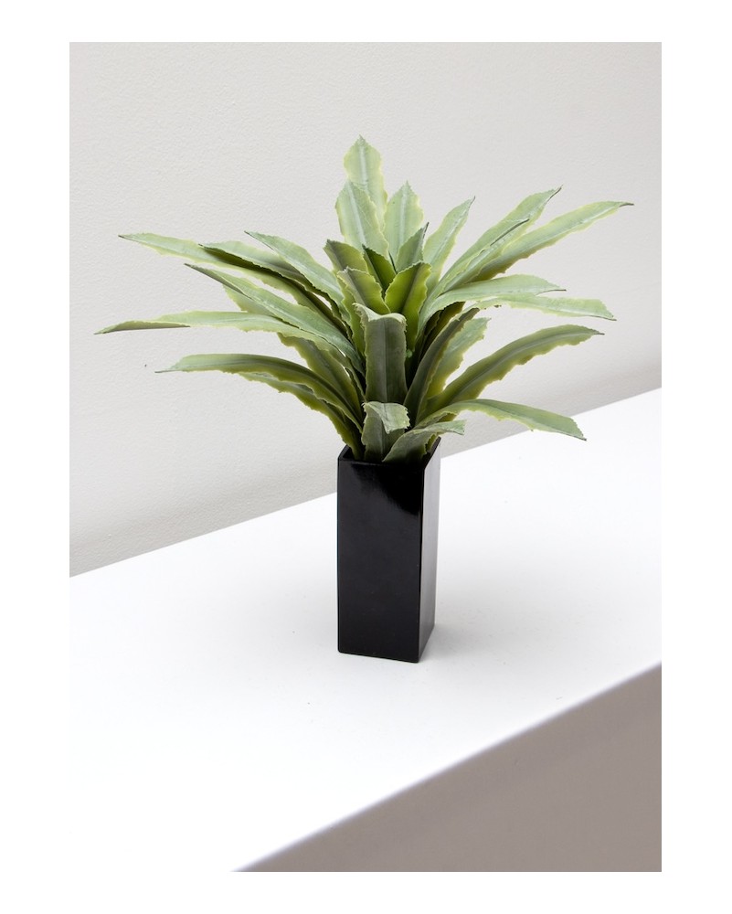 Maguey sisal verde 40cm