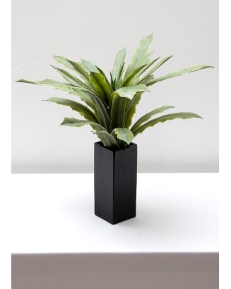 Maguey sisal verde 40cm