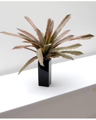 Maguey sisal verde 40cm
