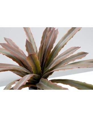Maguey sisal verde 40cm