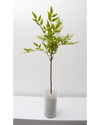 Vara de bambu sagrado 77cm