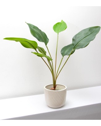 Planta hoja ave del paraíso 79cm