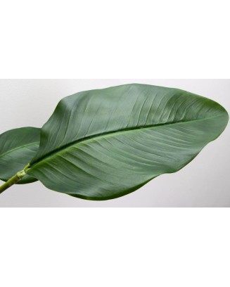 Planta hoja ave del paraíso 79cm