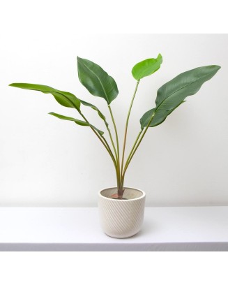Planta hoja ave del paraíso 79cm