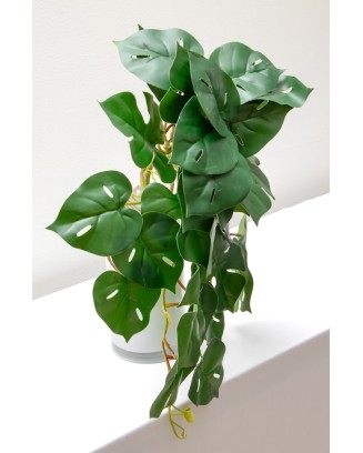 Colgante monstera 50cm largo soft touch