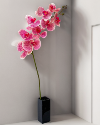 Orquidea Tary 110cm altura,...