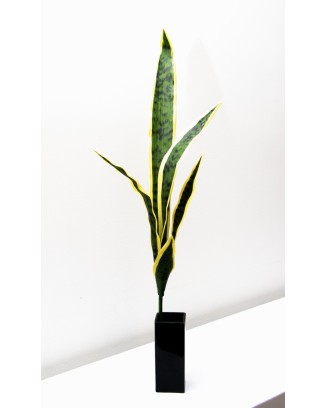 Vara de sanserviera amarilla/verde, dos tamaños