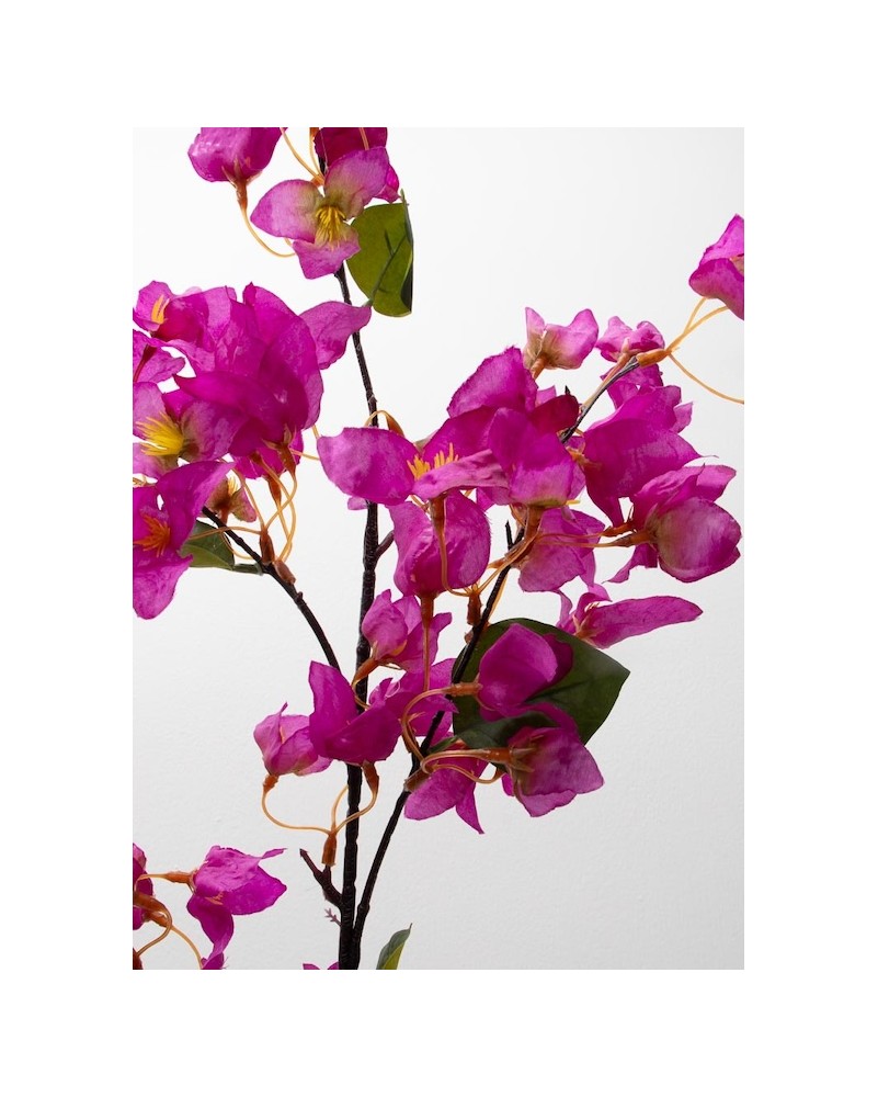 Bugambilia peruviana 100cm, varios colores