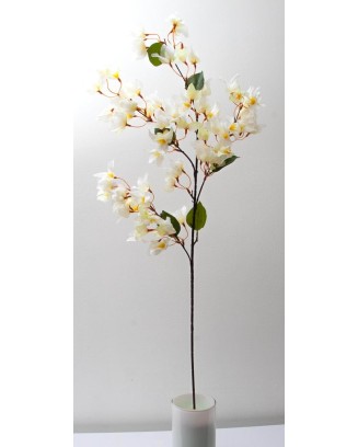 Bugambilia peruviana 100cm, varios colores