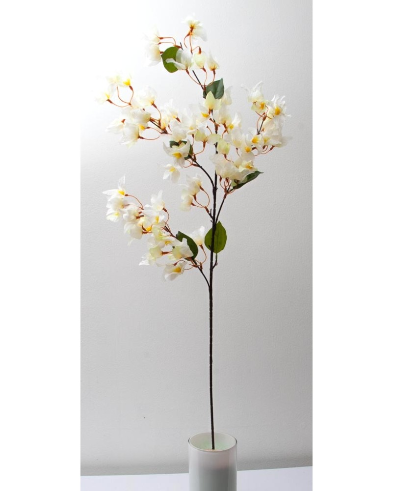 Bugambilia peruviana 100cm, varios colores
