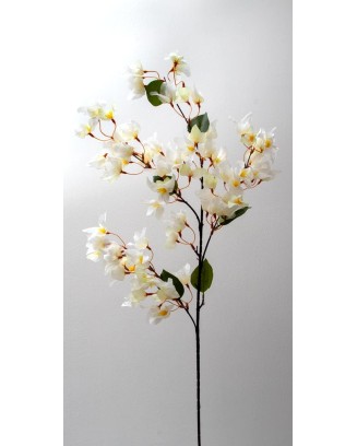 Bugambilia peruviana 100cm, varios colores
