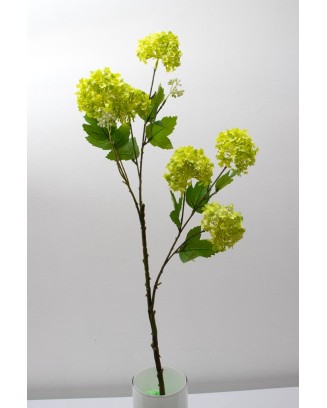 Vara de espumilla 80cm, varios colores