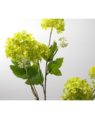 Vara de espumilla 80cm, varios colores