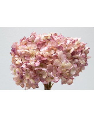 Ramillete de hortensia china 34cm altura soft touch, varios colores