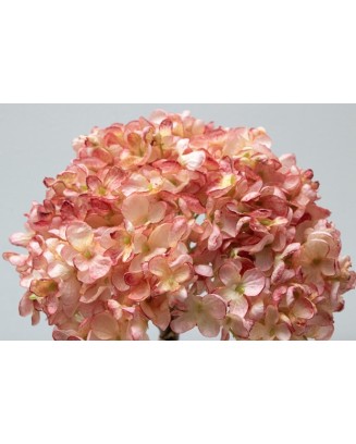 Ramillete de hortensia china 34cm altura soft touch, varios colores