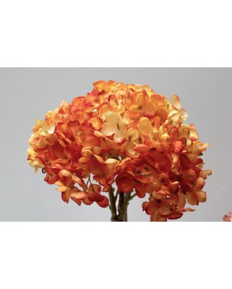Ramillete de hortensia china 34cm altura soft touch, varios colores