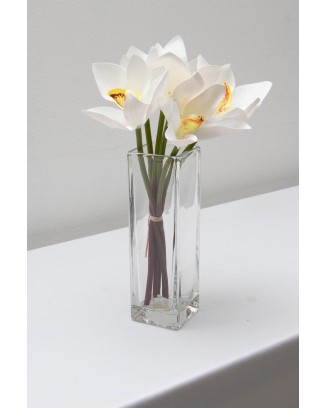 Ramillete de cymbidium, varios colores