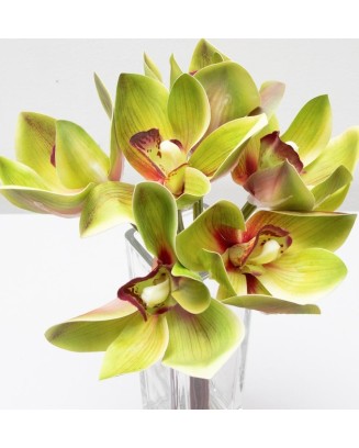 Ramillete de cymbidium,...