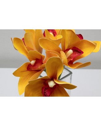 Ramillete de cymbidium, varios colores