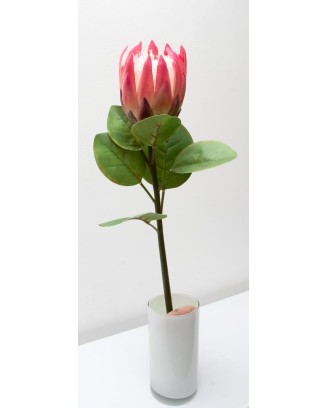 Vara de protea con hojas 65cm, varios colores