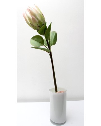 Vara de protea con hojas 65cm, varios colores