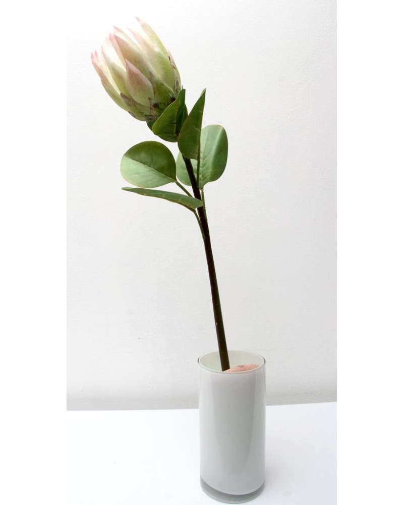 Vara de protea con hojas 65cm, varios colores