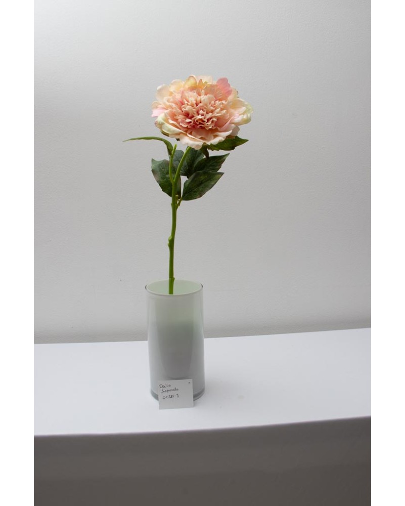Peonia china 56cm, varios colores